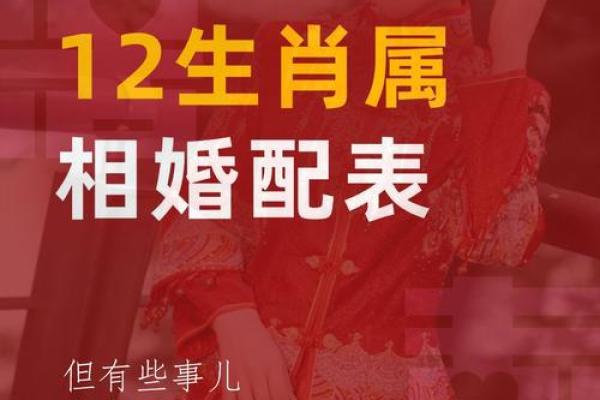 蛇猴配对是否合适？探讨生肖配对的缘分与挑战
