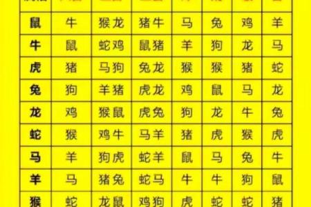 属鼠与属猪的配对是否合适？探索两者的缘分与性格匹配度