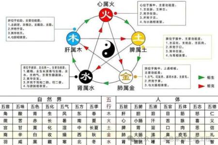 汀五行属什么？了解它的五行属性及其影响力