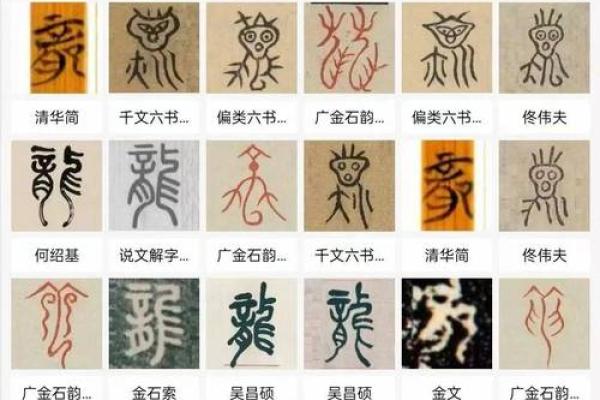 龙字在名字中的象征意义与文化