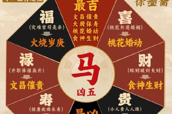 属马人农历出生月份，财富与运势的关键