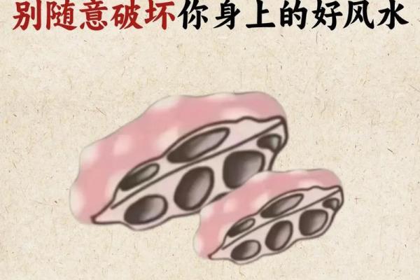 如何利用偏门招财风水吸引财富