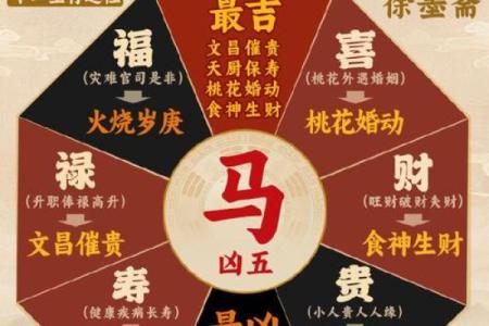 属马人农历出生月份，财富与运势的关键