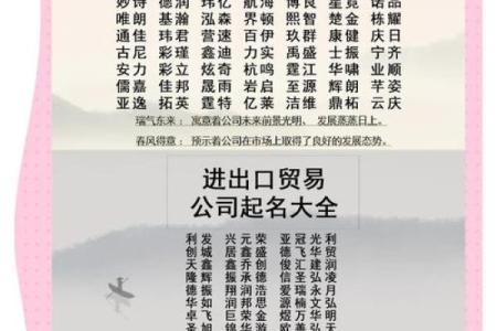 如何为公司取个既有创意又符合原则的名字
