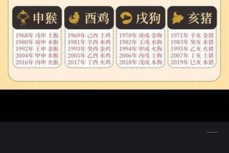 猪女本命年，如何改善财务状况？