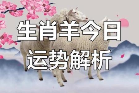 本命年对羊男感情生活的考验