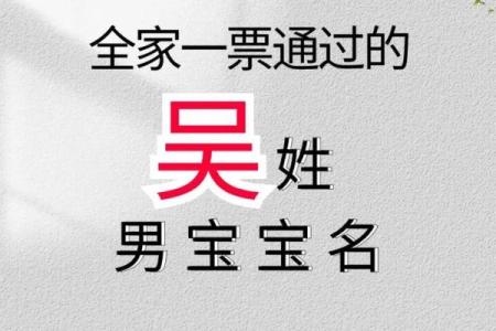 如何为吴姓男孩取一个有意义且独特的名字