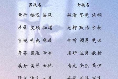 全面探索名字参考大全，轻松找到最适合的名字