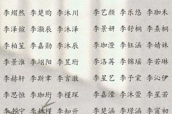 如何为宝宝起个寓意深远的李姓名字