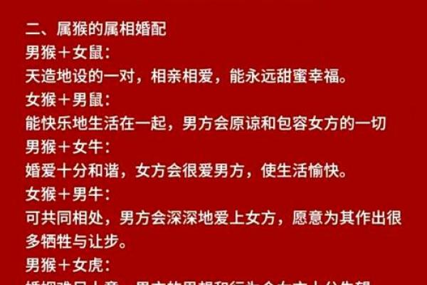 女猪男猴配对是否和谐？深入分析两者的性格匹配度