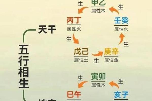 属什么五行？揭秘你的命理特点