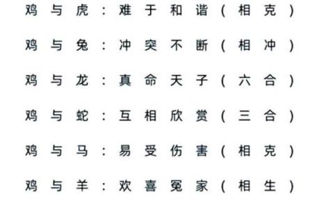 女猪男猴配对是否和谐？深入分析两者的性格匹配度