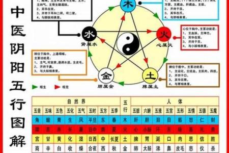 属什么五行？揭秘你的命理特点