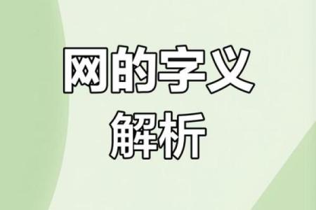 罗字名字在文化中的深刻含义解析