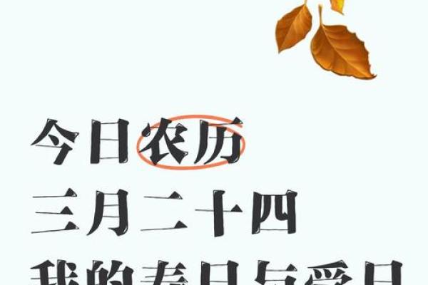 今日农历特殊含义，你了解多少