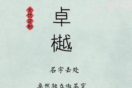 李姓取名技巧与注意事项大全