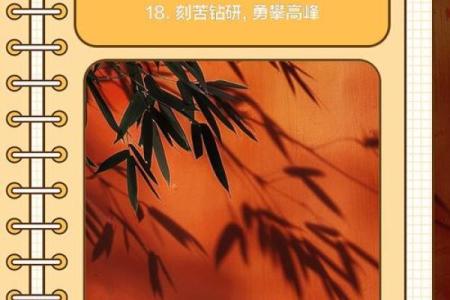 孩子的生辰八字缺什么？家长必看这些补救方法！