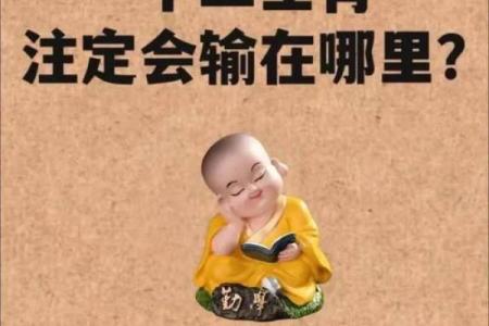 属龙与属龙的配对是否天作之合