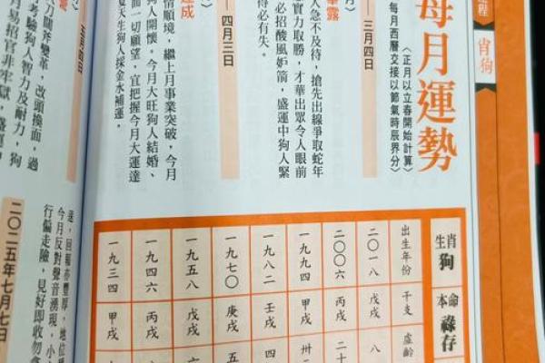 属狗人的运势指南：走运还是遭遇困境？
