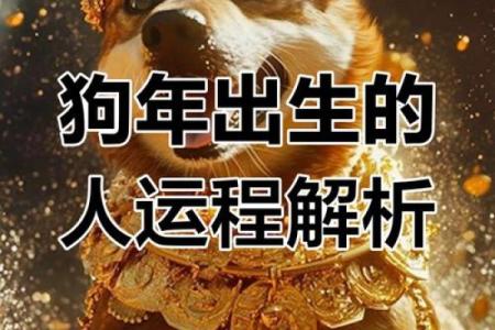 属狗人的运势指南：走运还是遭遇困境？