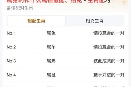 生肖牛与猪是否天作之合？解密它们的相配性