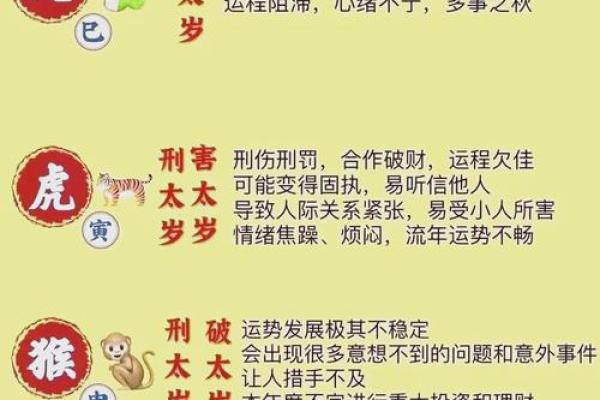 女属猪男属虎爱情运势如何