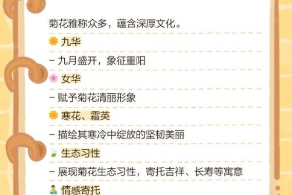 菊花名字背后的文化与寓意探索