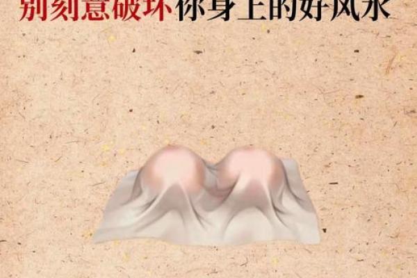招财利身体的风水布局技巧解析