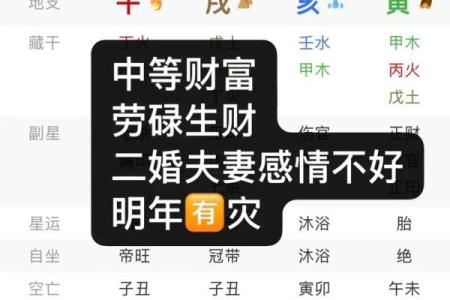属相命运解析：你的命运如何影响人生轨迹