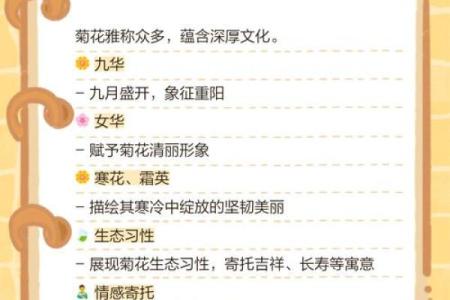 菊花名字背后的文化与寓意探索