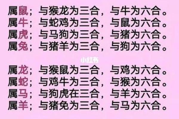 男牛女狗配对的性格与婚姻幸福分析