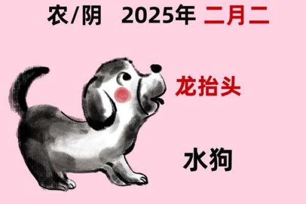 属狗的人命运解析 土命的特点与运势详解