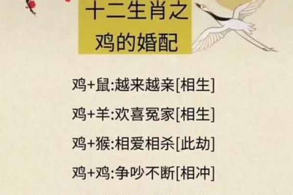 男属蛇女属蛇配对的优缺点解析