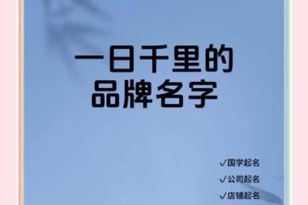 培训公司取名创意大全 助力品牌脱颖而出