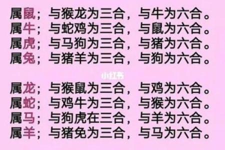 男牛女狗配对的性格与婚姻幸福分析