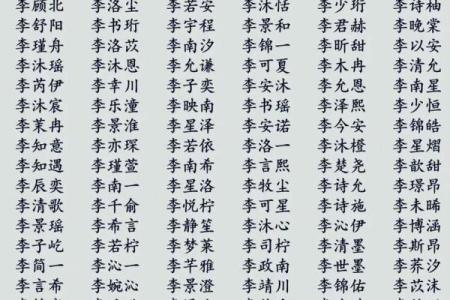 李姓女孩名字解析：打造最具个性与魅力的名字