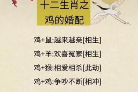 男属蛇女属蛇配对的优缺点解析