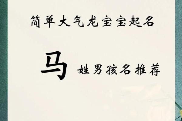 马的名字大全及其寓意解析
