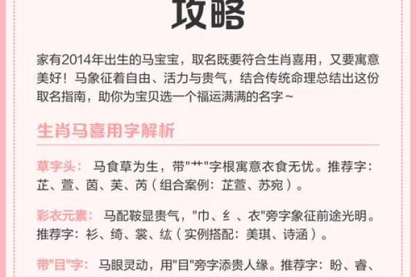 马的名字大全及其寓意解析