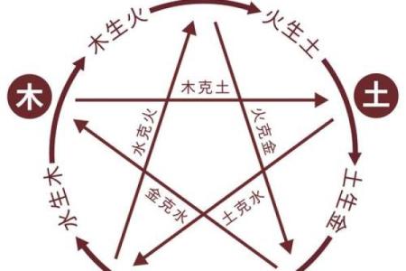 属什么命与名字之间的深层联系