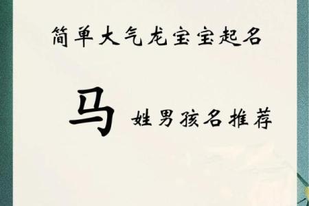 马的名字大全及其寓意解析
