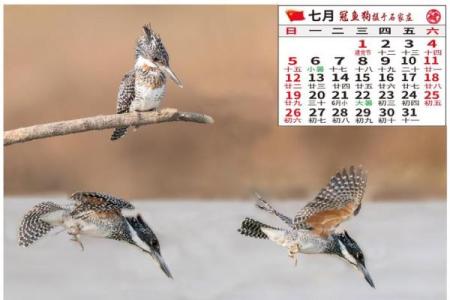 2019年9月：月历中的黄金时刻，不容错过的精彩瞬间
