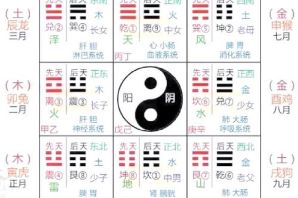 办公室风水布局与肠胃舒适度的秘密关系