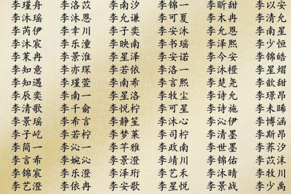 使用宝宝起名软件，让你的宝宝名字更有特色