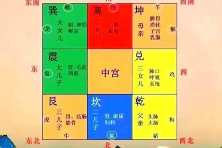 办公室风水布局与肠胃舒适度的秘密关系