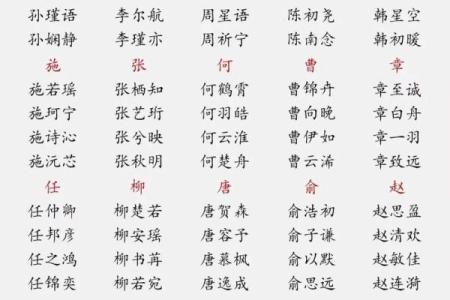 喜姓宝宝名字推荐，寓意美好且响亮的名字选择