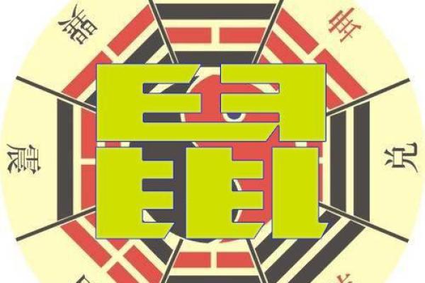 属鼠职场必看：办公室座位风水布局技巧