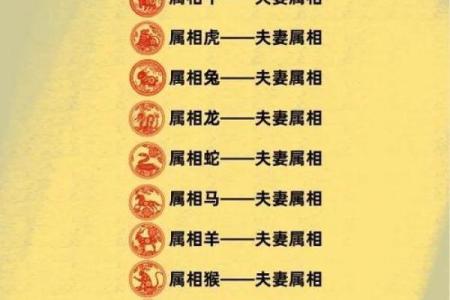 属龙女与属蛇男的婚姻缘分如何