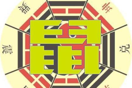 属鼠职场必看：办公室座位风水布局技巧