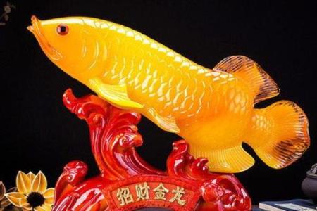 风水招财鱼类：提升运势的最佳选择